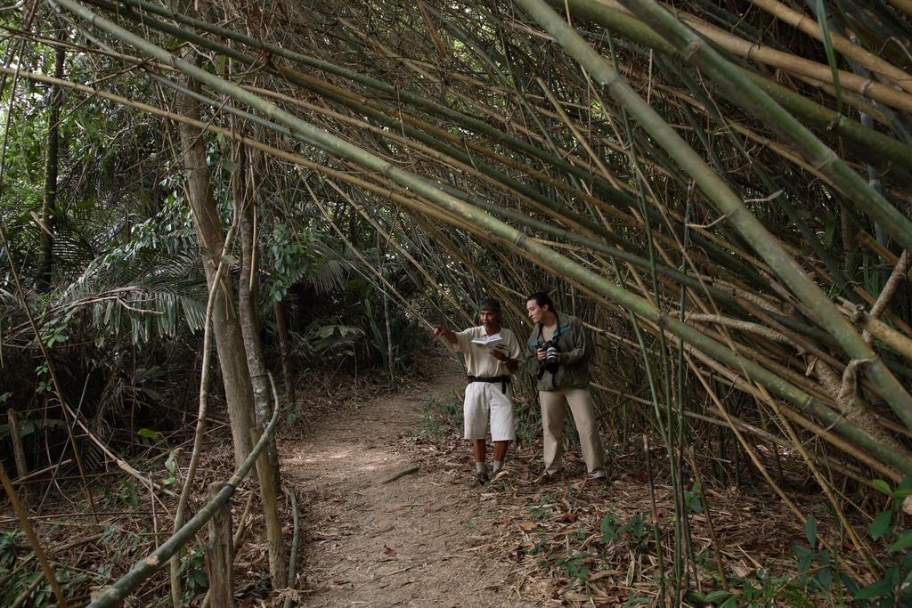 Tanjong Jara Resort, Terengganu - A Small Luxury Hotels Of The World Dungun Exteriér fotografie Bamboo forest in the park